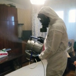 Дезинфекция от клопов в Каменке